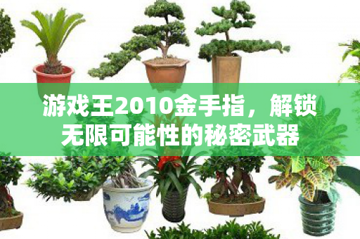 解锁无限可能性的秘密武器图片