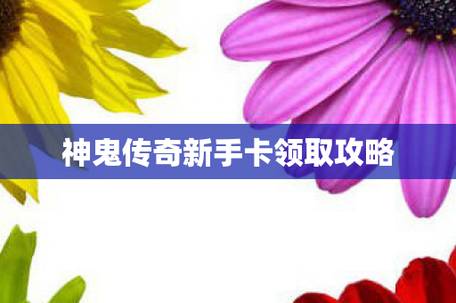 神鬼传奇新手卡领取攻略图片