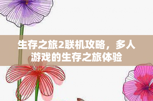 多人游戏的生存之旅体验图片