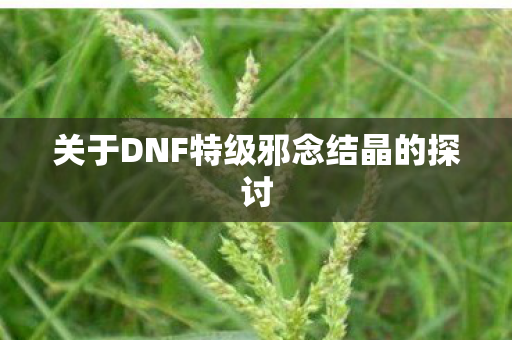 关于DNF特级邪念结晶的探讨图片