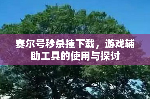 游戏辅助工具的使用与探讨图片