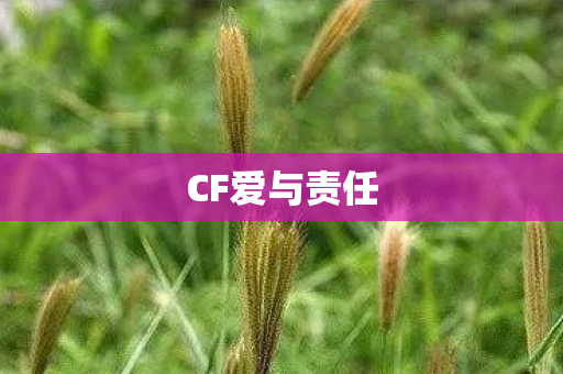 CF爱与责任图片