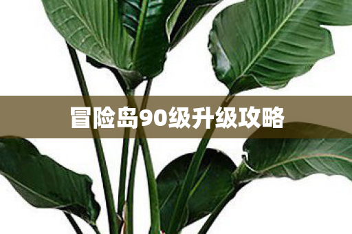 冒险岛90级升级攻略图片