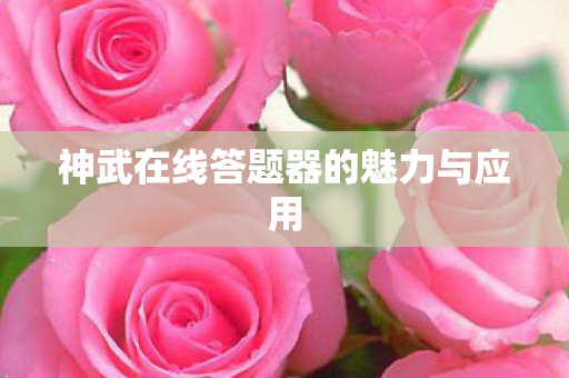 神武在线答题器的魅力与应用图片