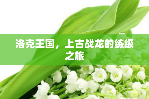 上古战龙的练级之旅图片