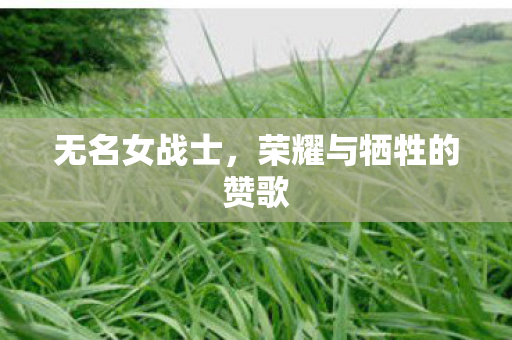 荣耀与牺牲的赞歌图片