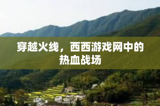 西西游戏网中的热血战场图片