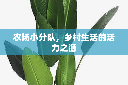 乡村生活的活力之源图片