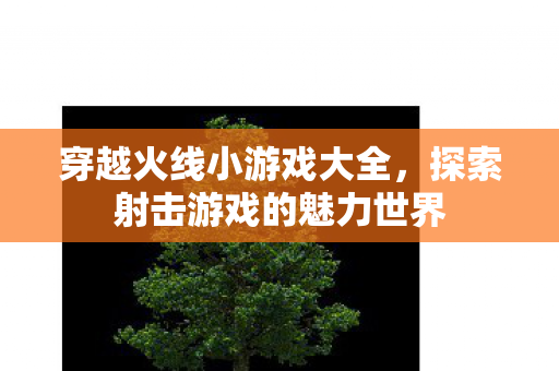 探索射击游戏的魅力世界图片