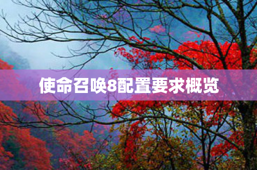 使命召唤8配置要求概览图片