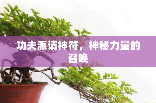 神秘力量的召唤图片