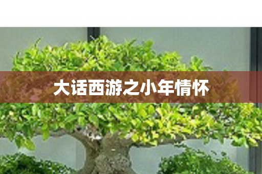 大话西游之小年情怀图片