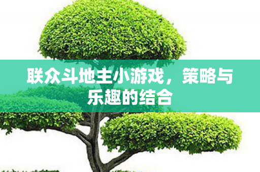 联众斗地主小游戏图片