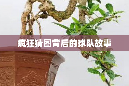 疯狂猜图背后的球队故事图片