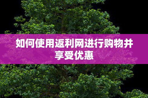 如何使用返利网进行购物并享受优惠图片