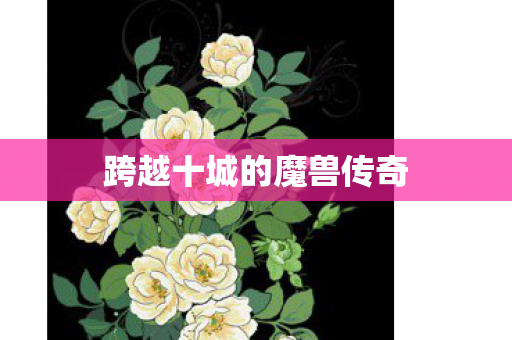 跨越十城的魔兽传奇图片
