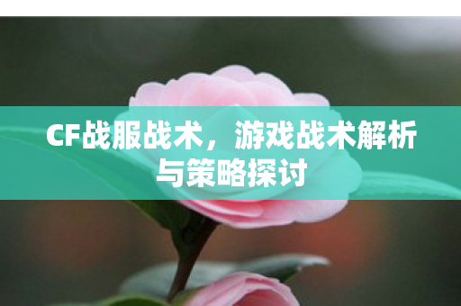 游戏战术解析与策略探讨图片