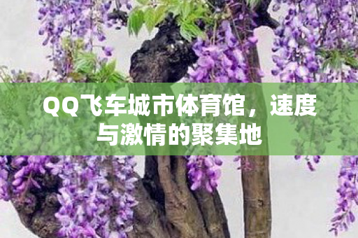 QQ飞车城市体育馆图片