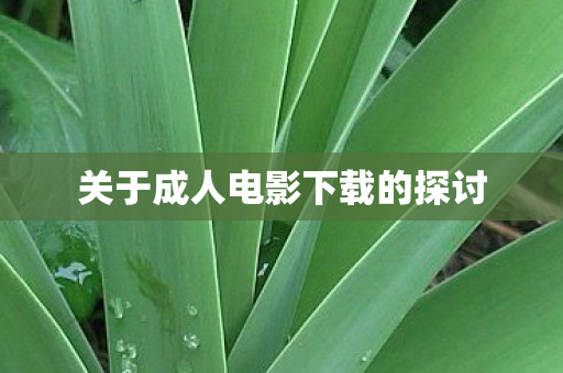 关于成人电影下载的探讨图片
