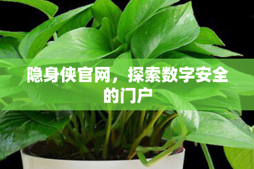 探索数字安全的门户图片