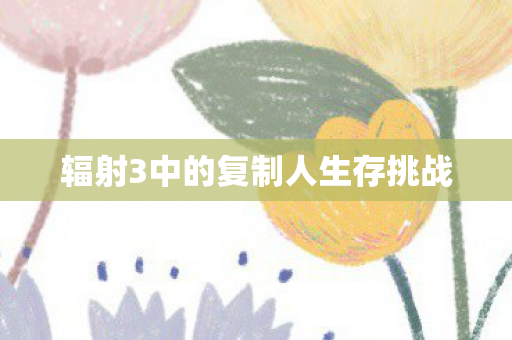 辐射3中的复制人生存挑战图片