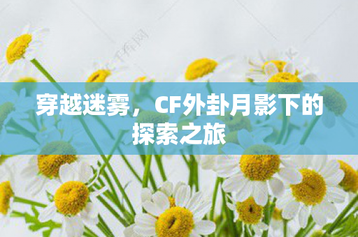 CF外卦月影下的探索之旅图片