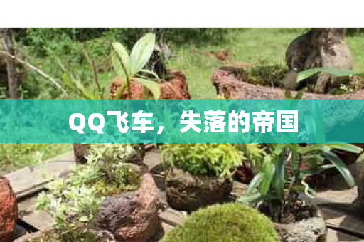 失落的帝国图片