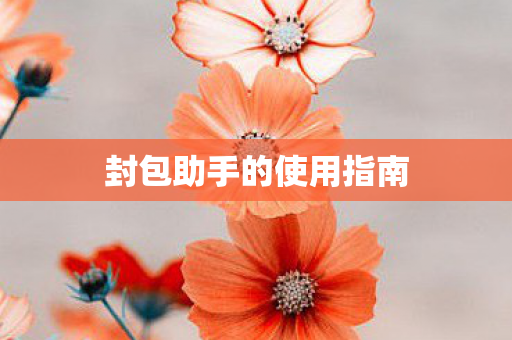 封包助手的使用指南图片