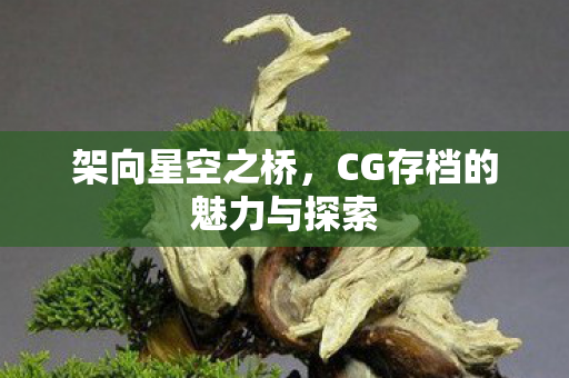 CG存档的魅力与探索图片