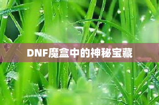 DNF魔盒中的神秘宝藏图片