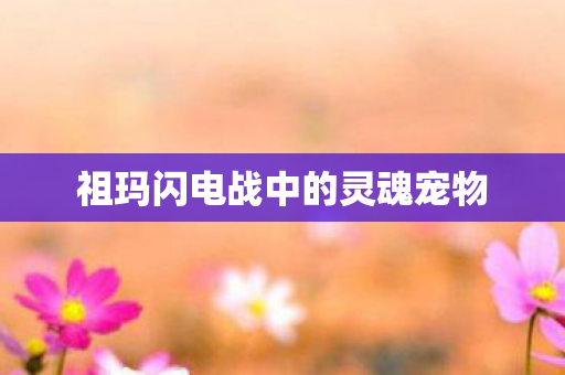 祖玛闪电战中的灵魂宠物图片