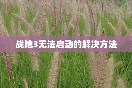 战地3无法启动的解决方法图片