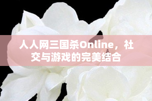 人人网三国杀Online图片