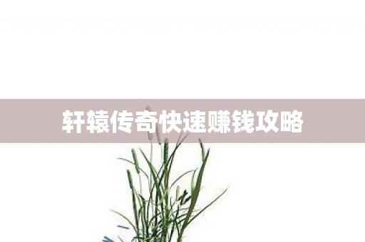 轩辕传奇快速赚钱攻略图片