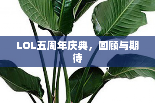 LOL五周年庆典图片