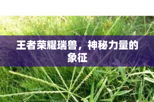神秘力量的象征图片