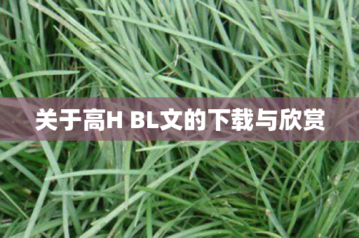 关于高H BL文的下载与欣赏图片