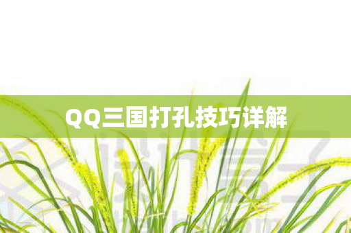QQ三国打孔技巧详解图片