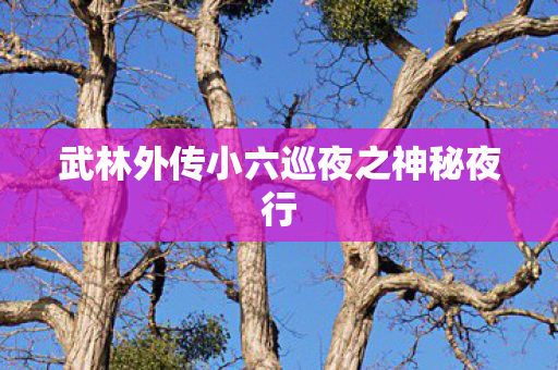 武林外传小六巡夜之神秘夜行图片