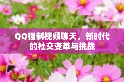 新时代的社交变革与挑战图片