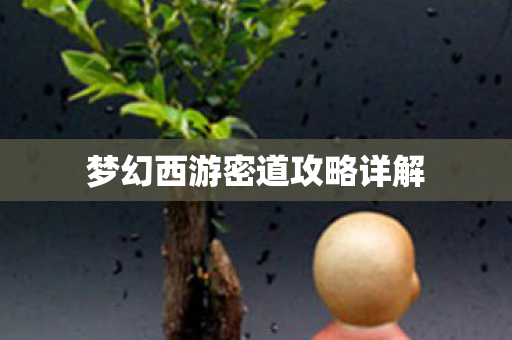 梦幻西游密道攻略详解图片