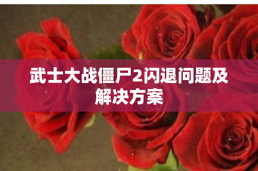 武士大战僵尸2闪退问题及解决方案图片