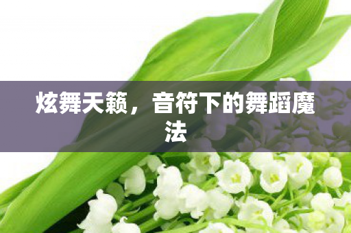 音符下的舞蹈魔法图片