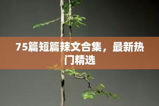 75篇短篇辣文合集图片
