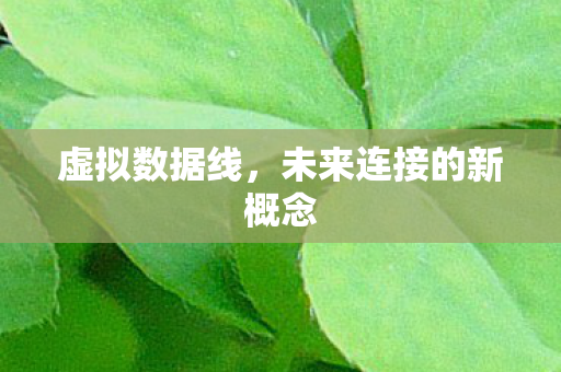 未来连接的新概念图片