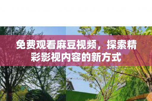 探索精彩影视内容的新方式图片