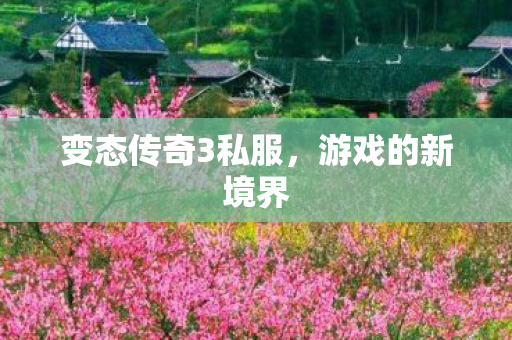 变态传奇3私服图片