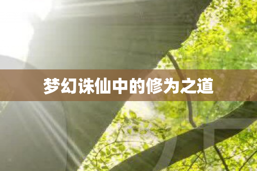 梦幻诛仙中的修为之道图片