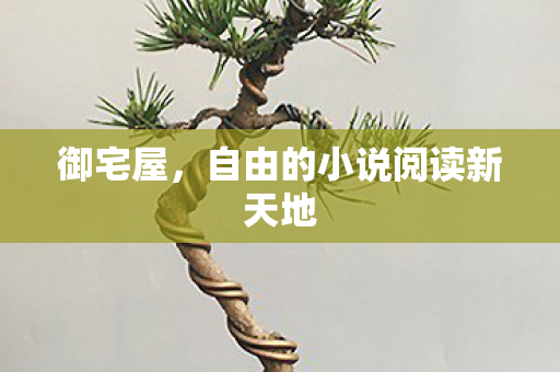 自由的小说阅读新天地图片