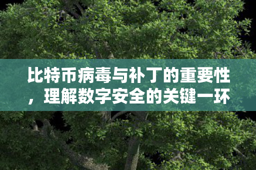 比特币病毒与补丁的重要性图片